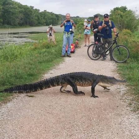 Animal Encounters on the Trail: What to Do When Wildlife (or Someone's Dog) Comes at You